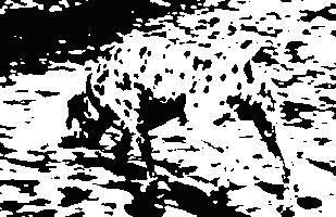 Bild2