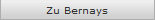 Zu Bernays